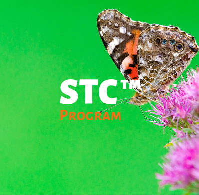 STC Program