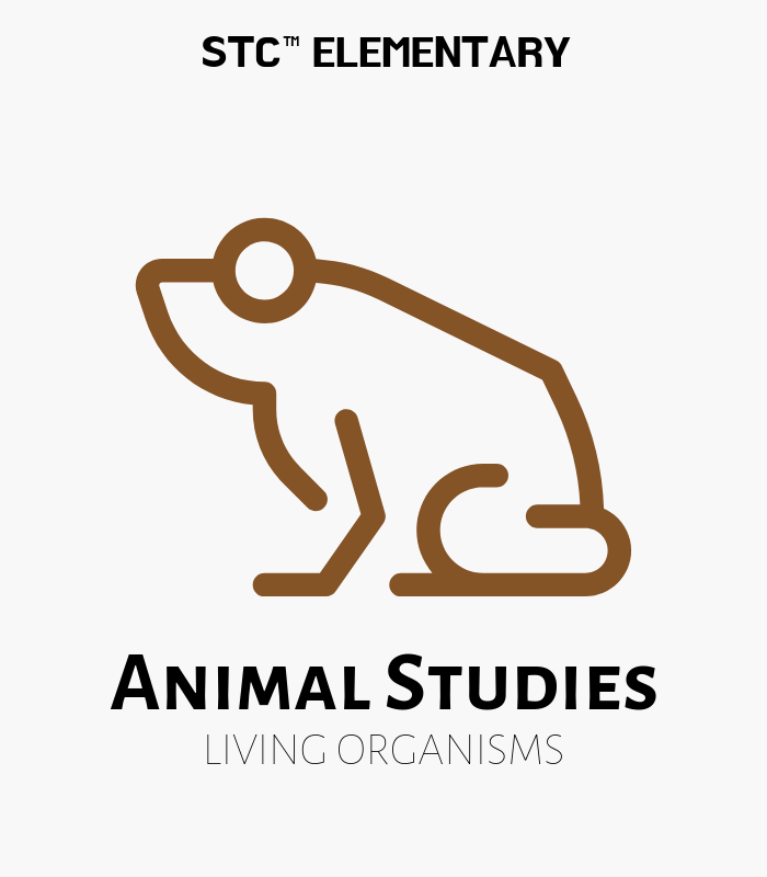 Animal Studies Shipment #1 Replacement Set - STC Living Materials Kit